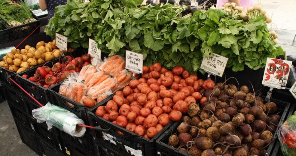 10 Best Things to Do in Grand Prairie, Texas