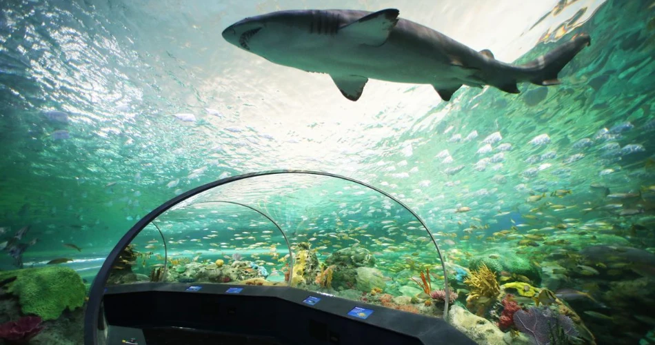 10 Best Things to Do in Grand Prairie, Texas